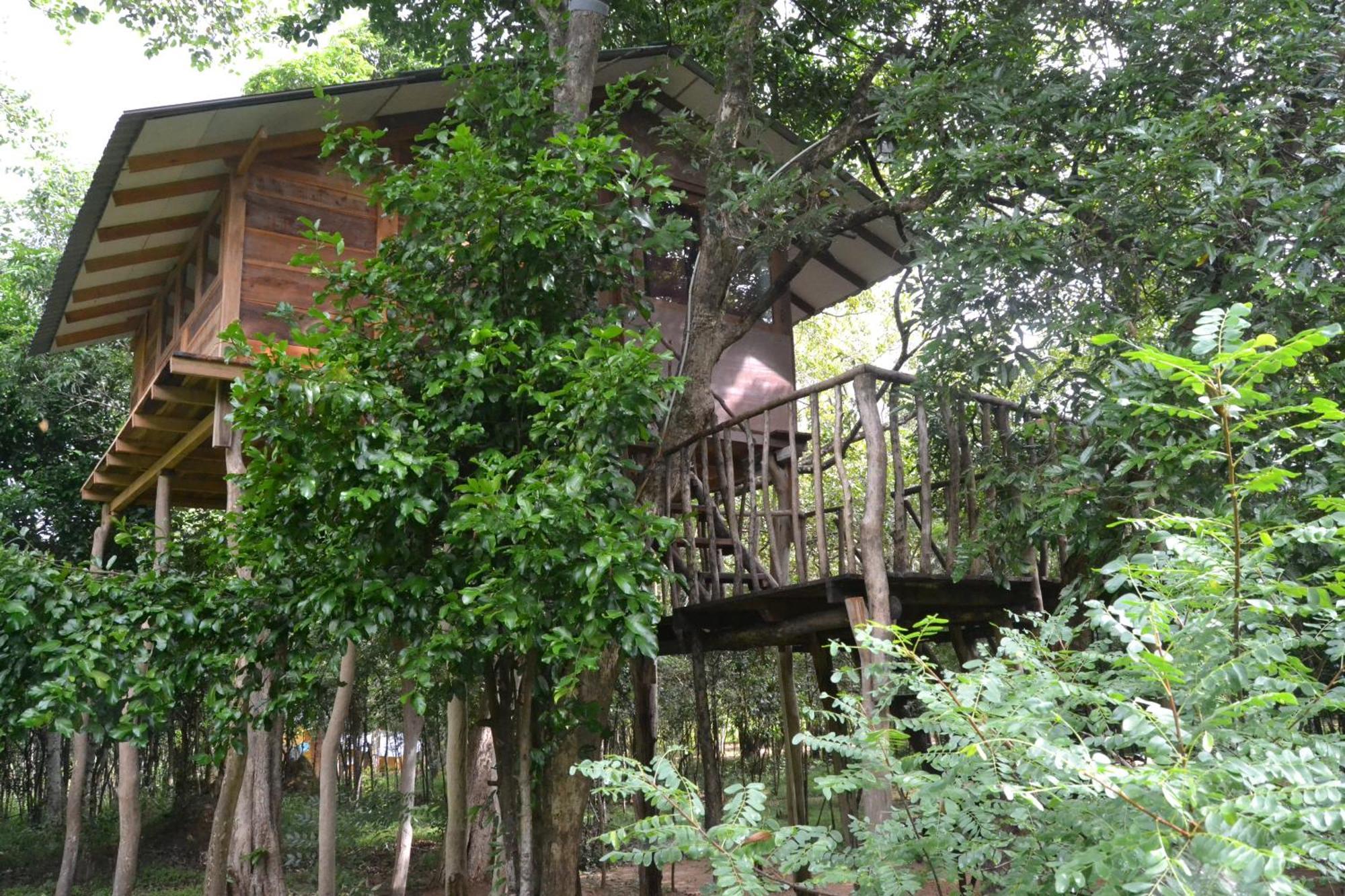 Sky Forest Habarana Exterior foto