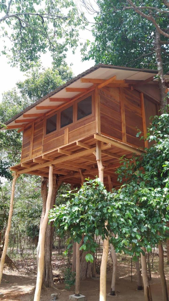 Sky Forest Habarana Exterior foto