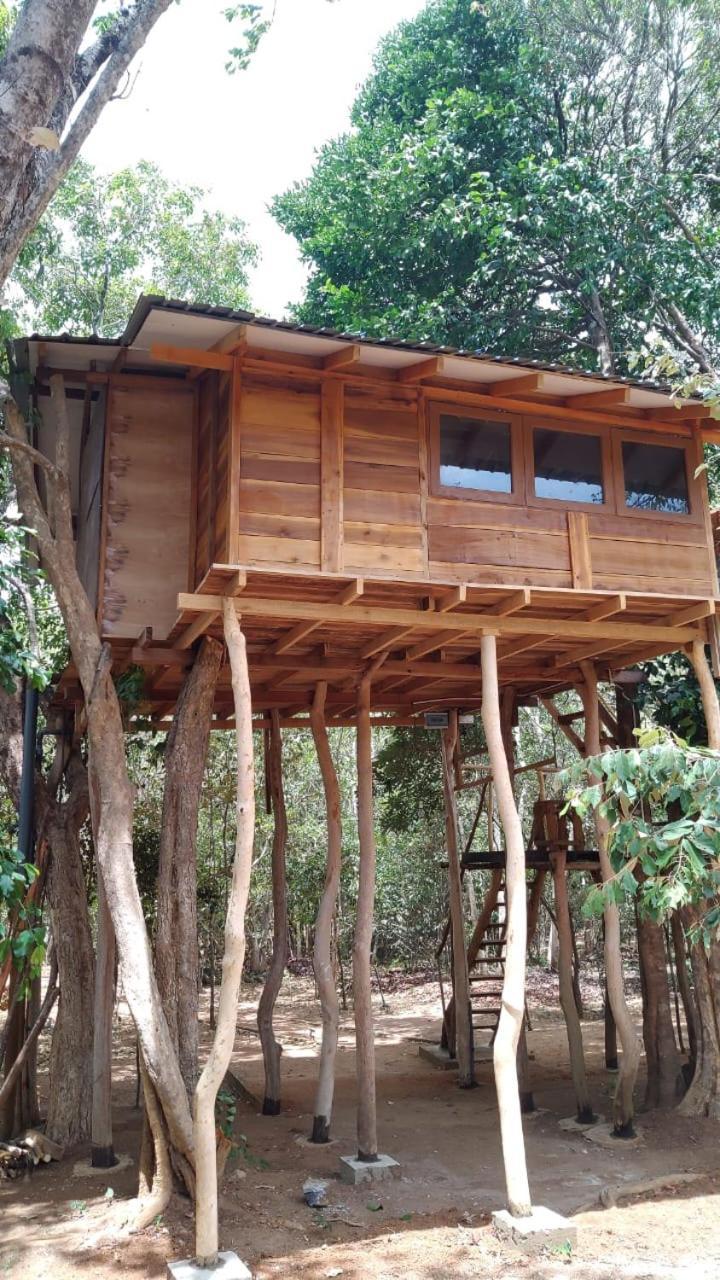 Sky Forest Habarana Exterior foto